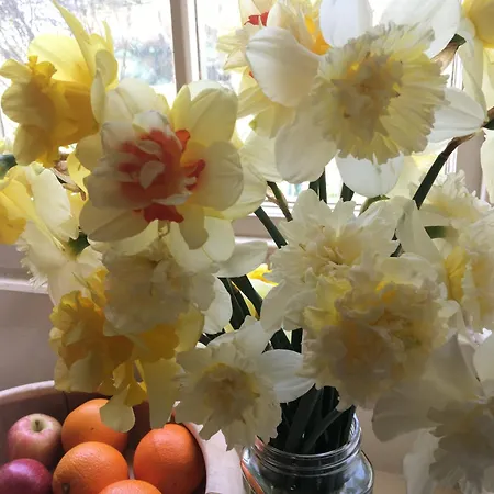 Temple Croft Bed & Breakfast *
