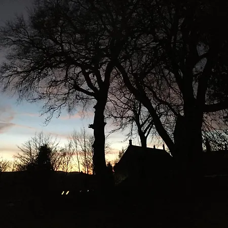 Oda ve Kahvaltı Temple Croft 3*