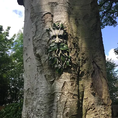 Temple Croft Oda ve Kahvaltı Alston