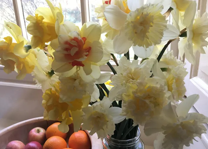 Temple Croft فندق مبيت وإفطار 3*