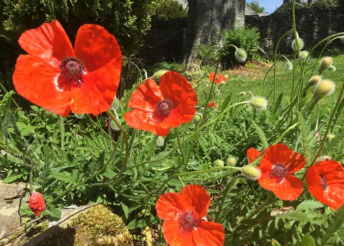 Temple Croft 3* ألستون