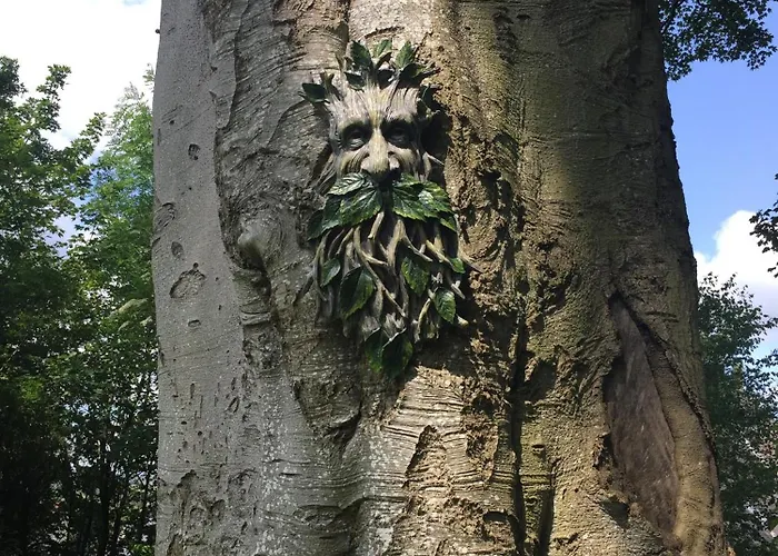 Temple Croft فندق مبيت وإفطار ألستون